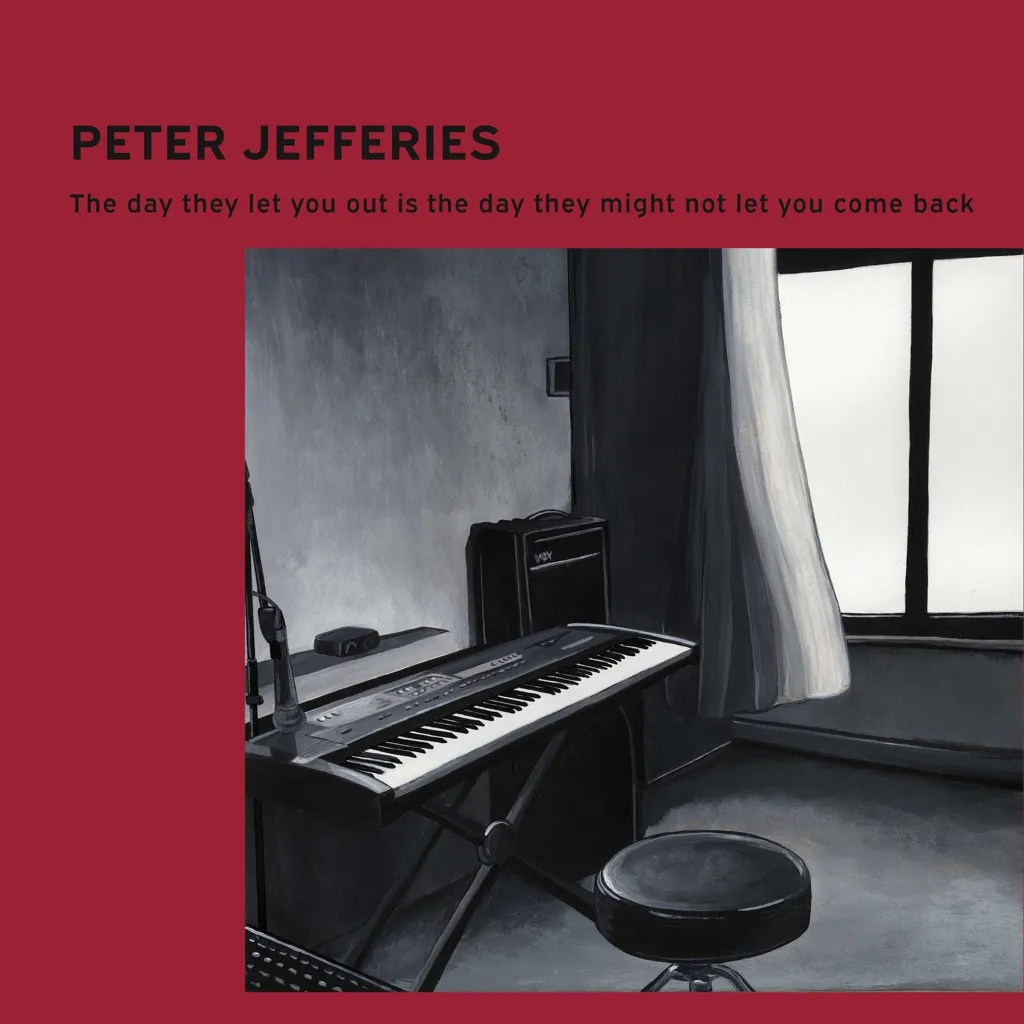 The Day They Let You Out Is The Day They Might Not Let You Come Back by Peter Jefferies cover