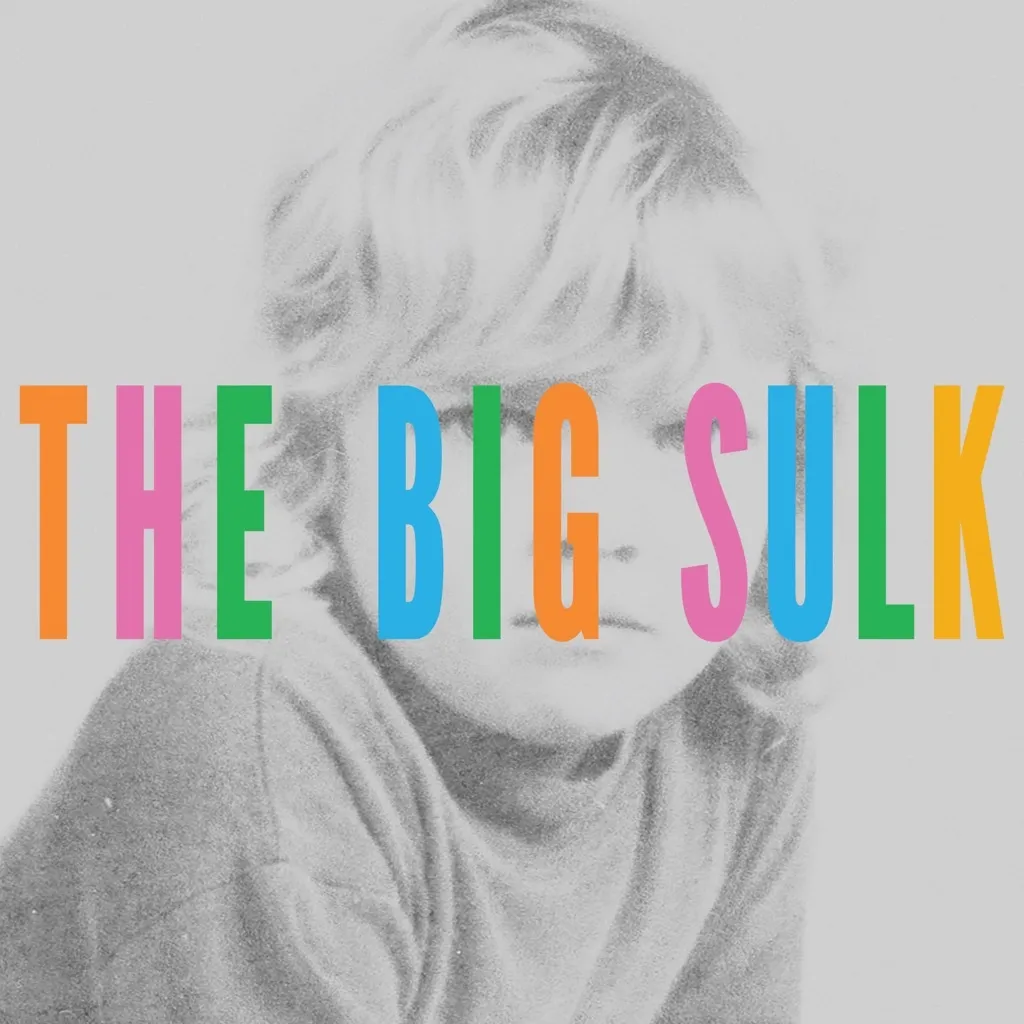 The Big Sulk by Louisa Nicklin cover