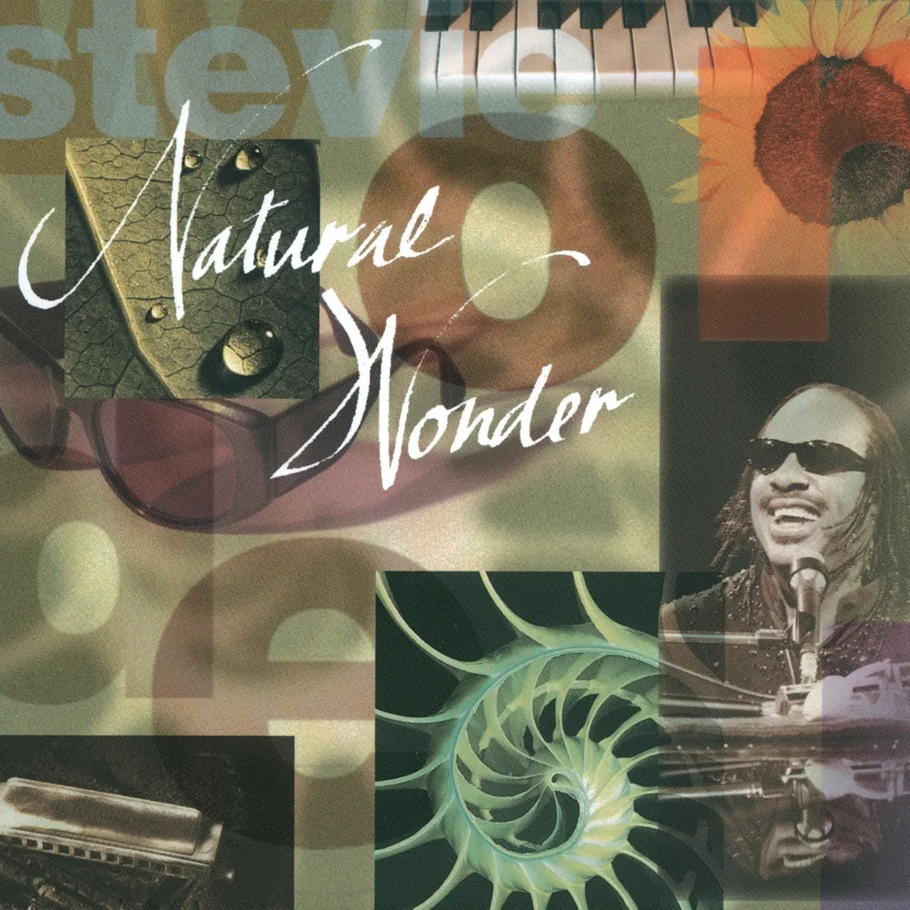 Natural Wonder  Live by Stevie Wonder cover