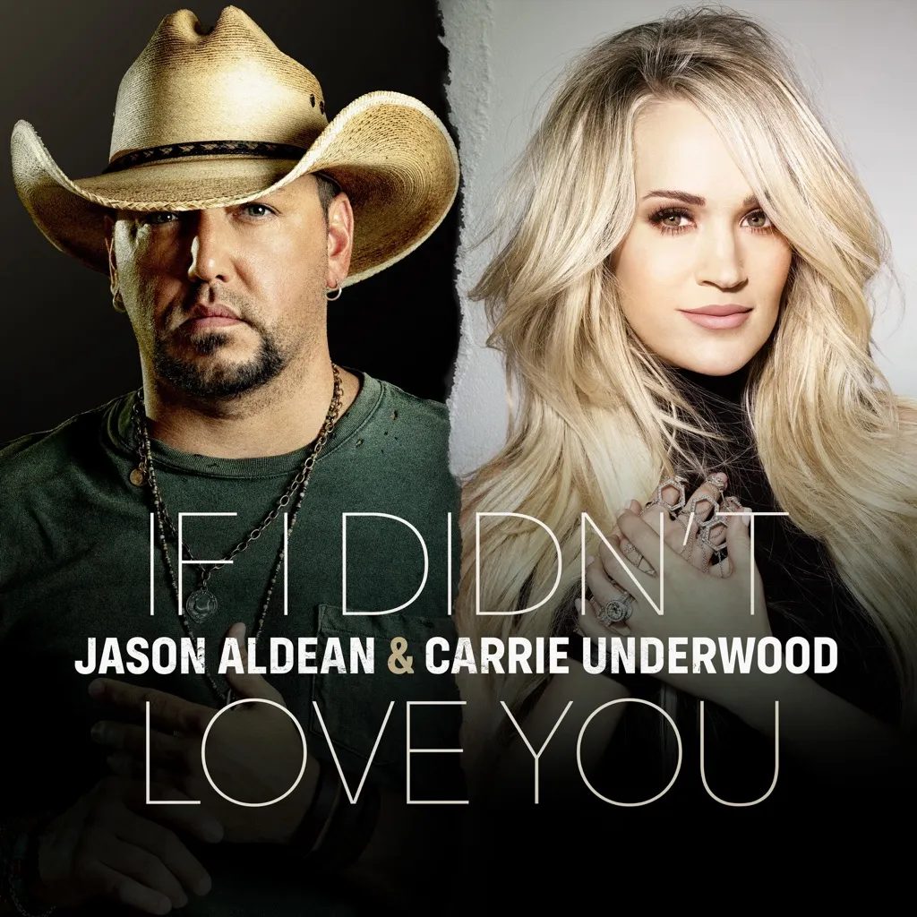 If I Didn't Love You by Jason Aldean And Carrie Underwood cover