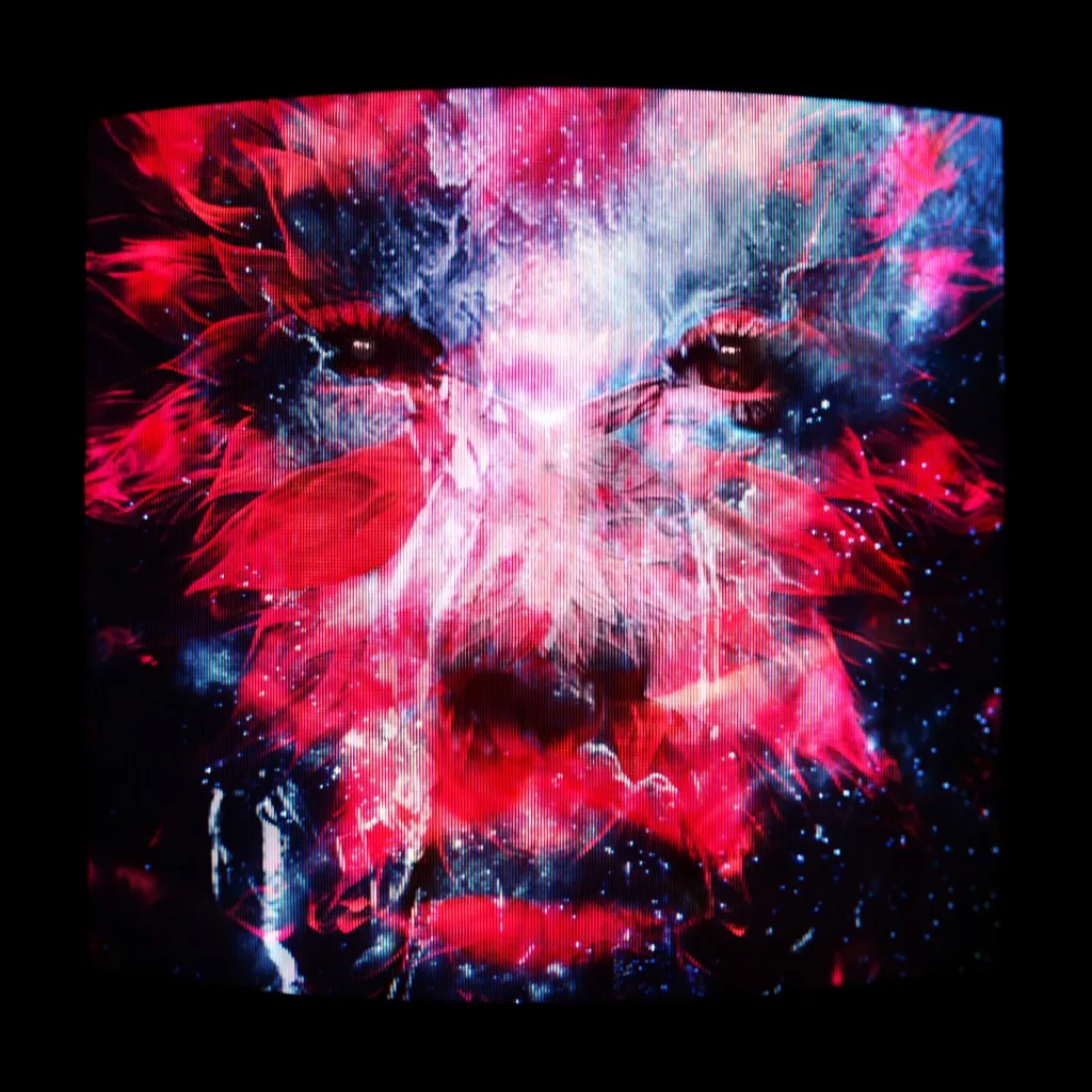 Rollin by PNAU And MEDUZA cover