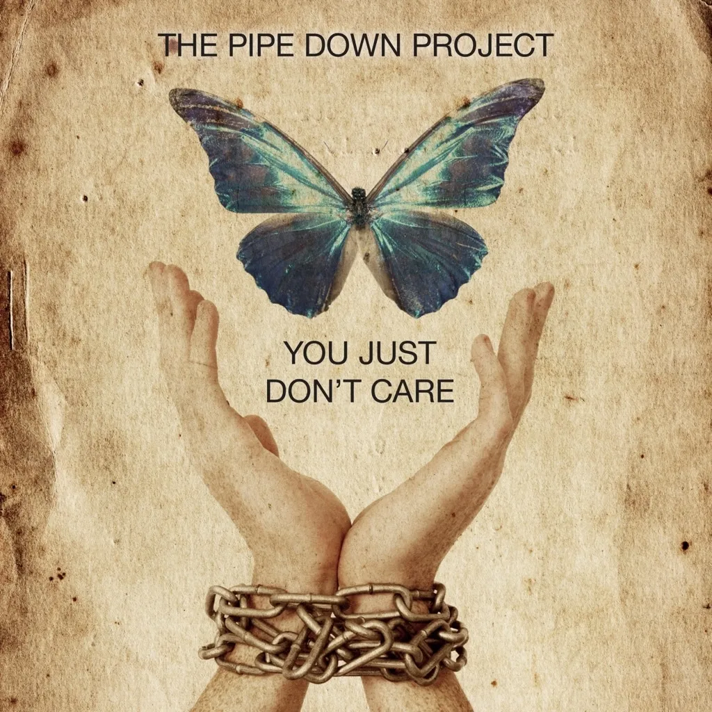 You Just Don't Care by The Pipe Down Project cover