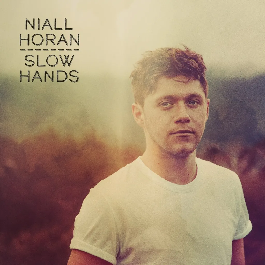 Slow Hands by Niall Horan cover