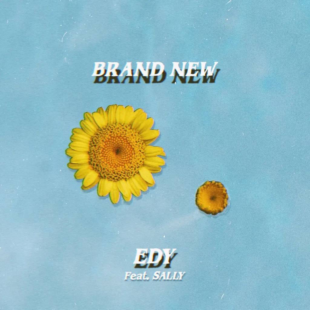 Brand New by EDY feat. Sally cover