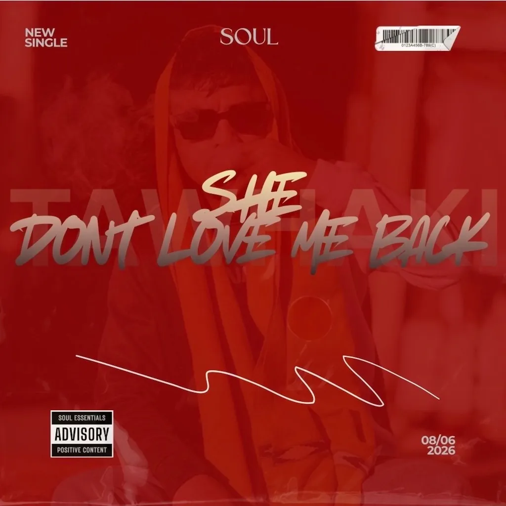 She Don't Love Me Back by Tawhaki cover