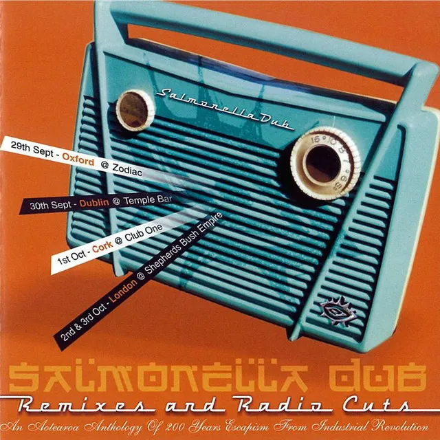 Remixes And Radio Cuts by Salmonella Dub cover