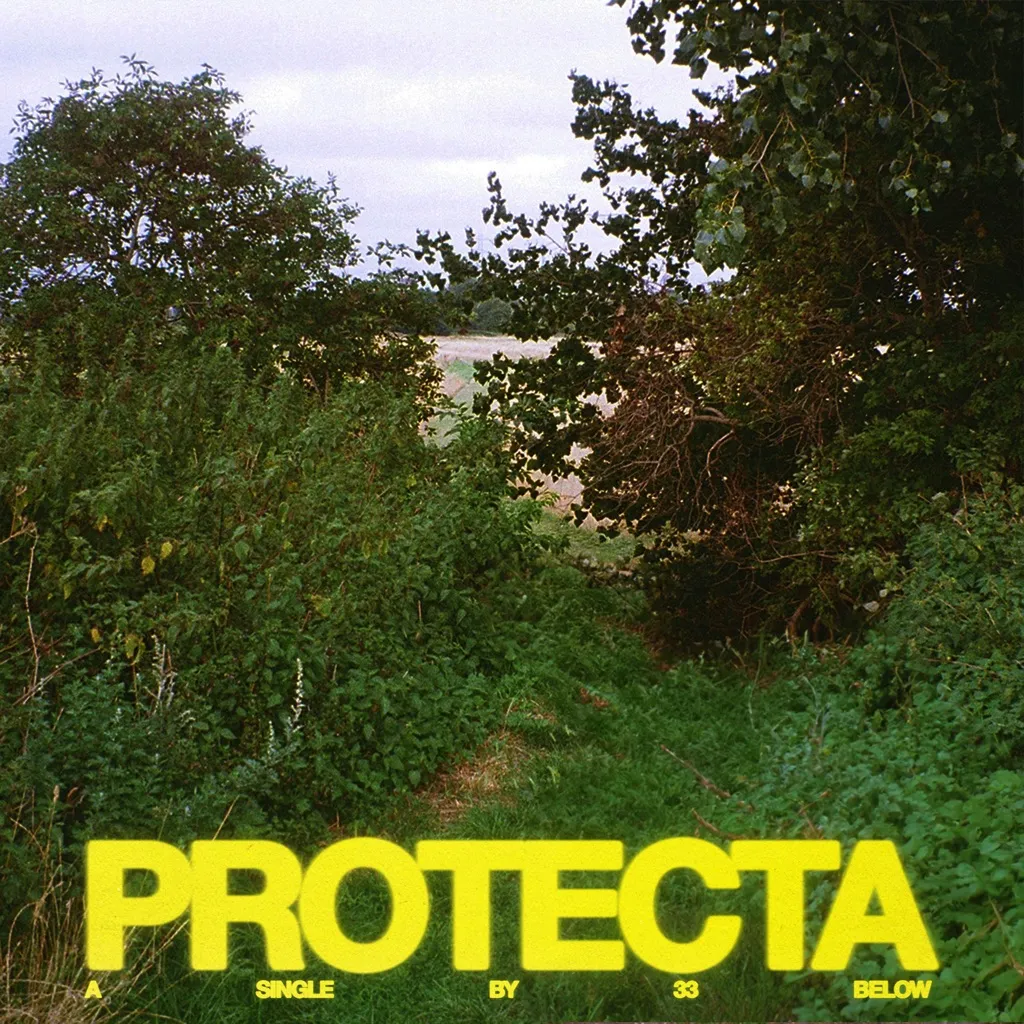 Protecta by 33 Below cover