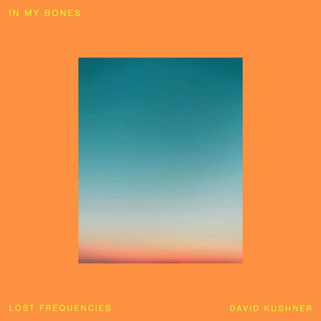 In My Bones by Lost Frequencies And David Kushner cover