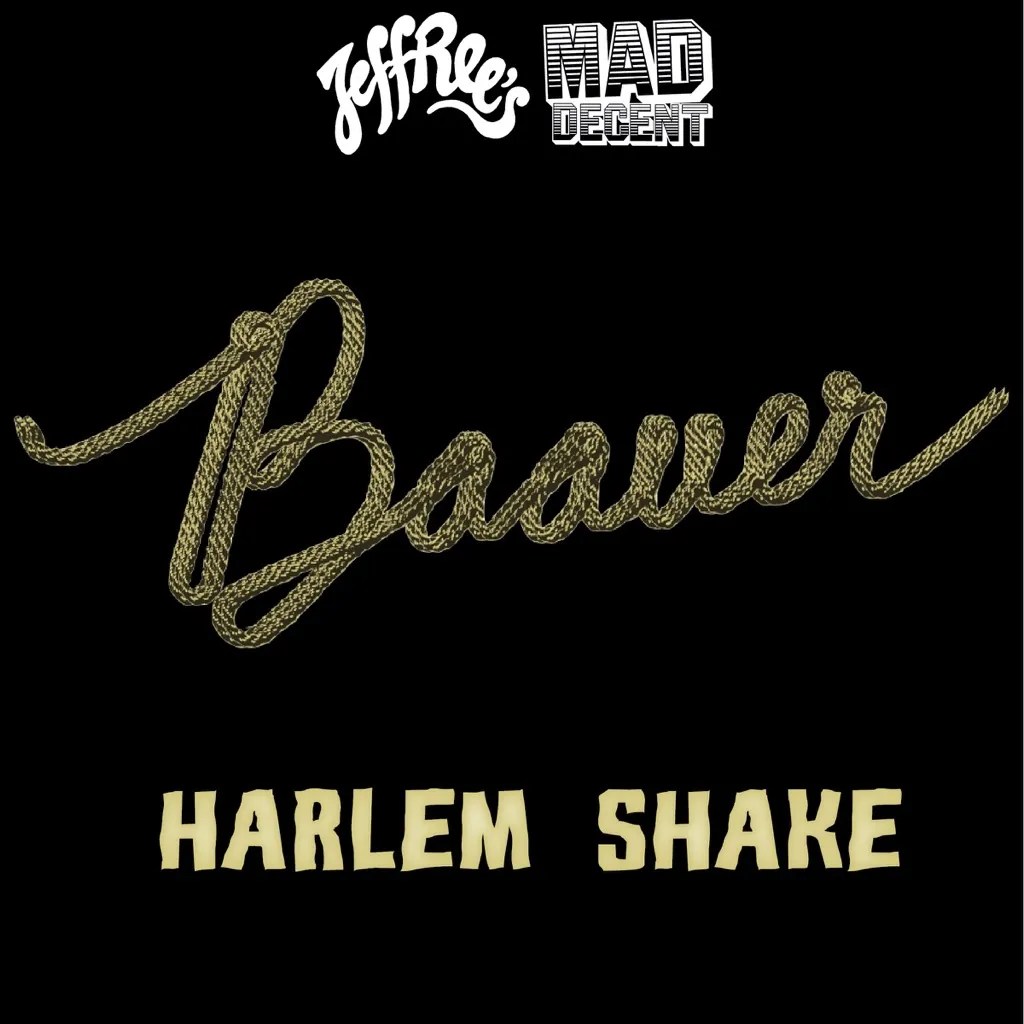 Harlem Shake by Baauer cover