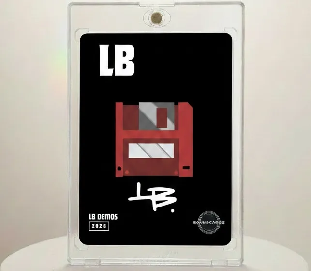 chicken_salt_vol_1_mix by LB cover