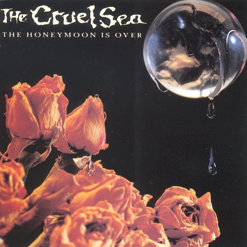 The Honeymoon Is Over by The Cruel Sea cover