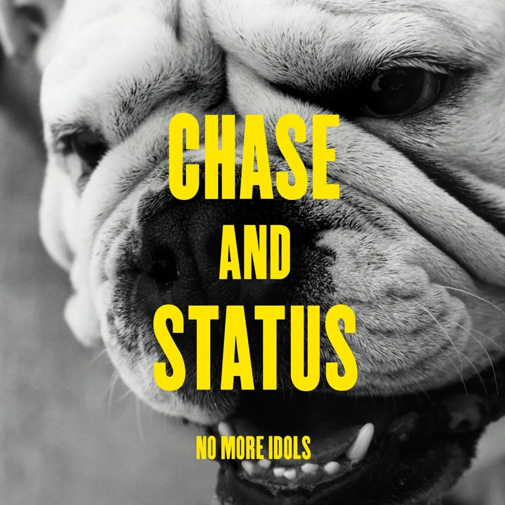 No More Idols by Chase And Status cover