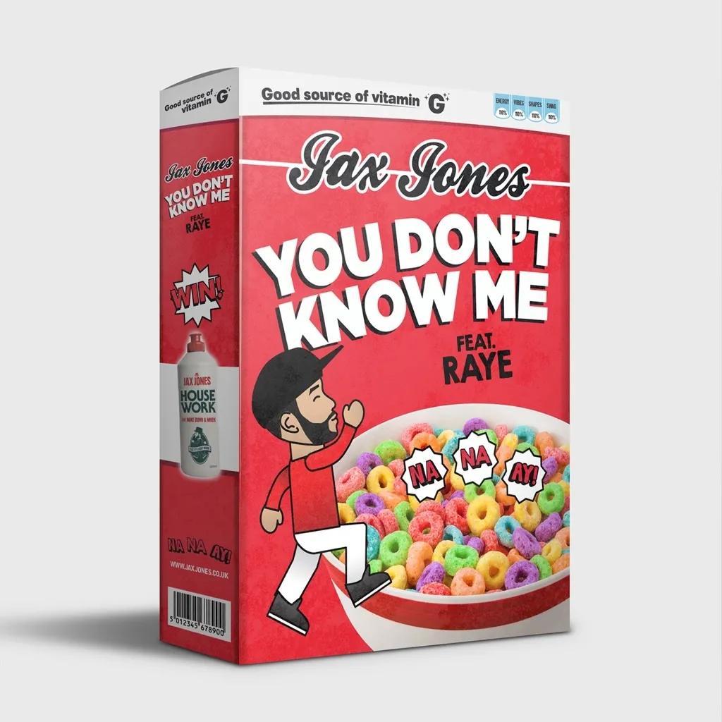 You Don't Know Me by Jax Jones feat. Raye cover