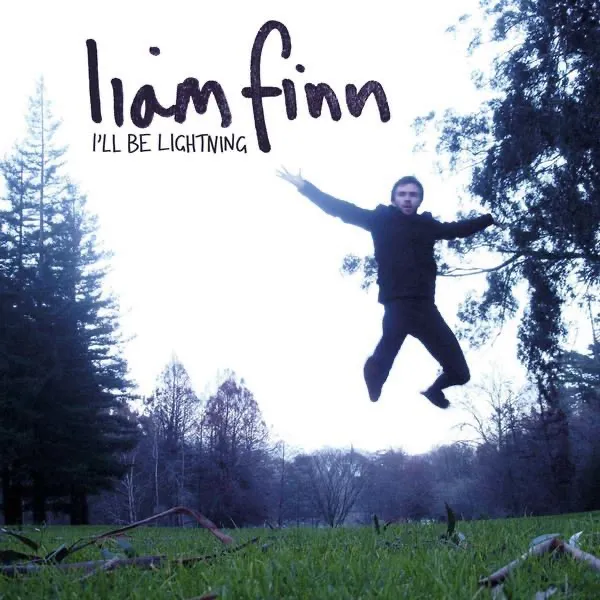 I'll Be Lightning by Liam Finn cover