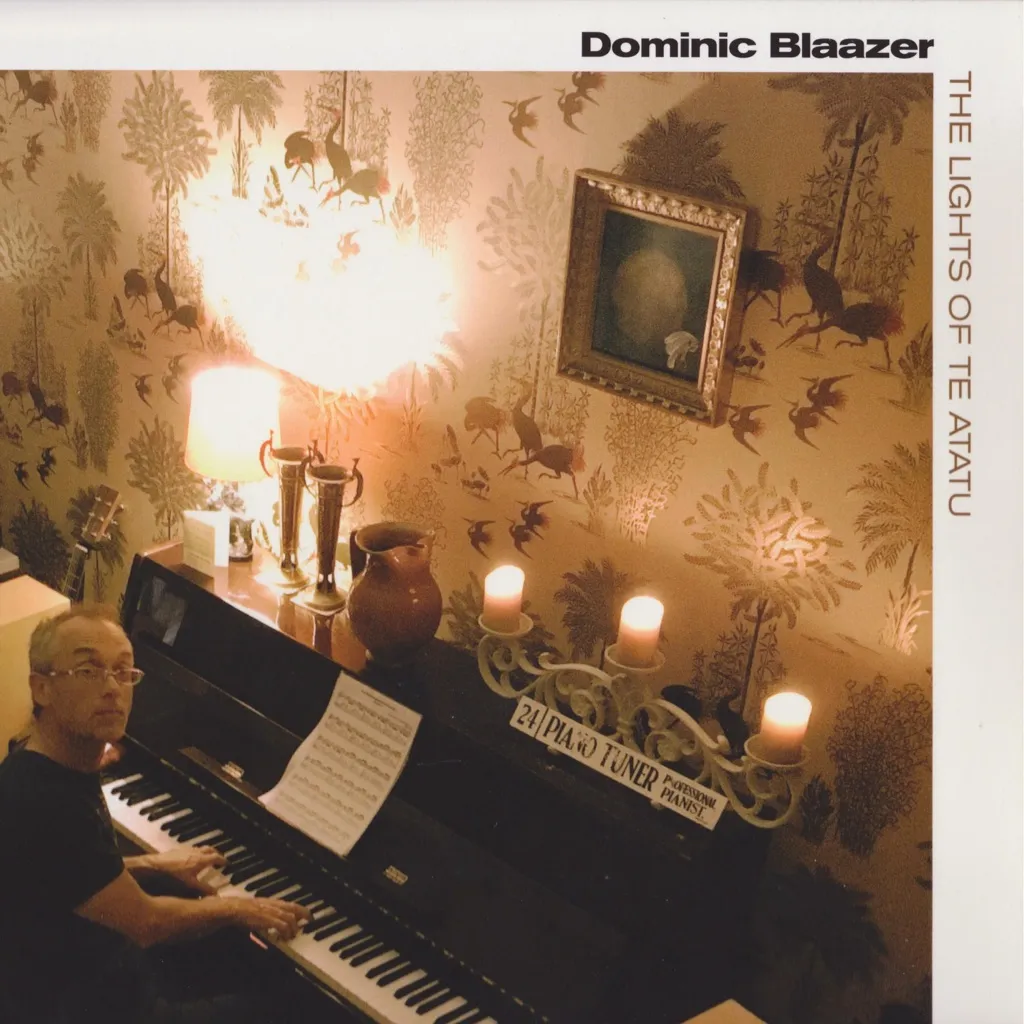 The Lights Of Te Atatu by Dominic Blaazer cover