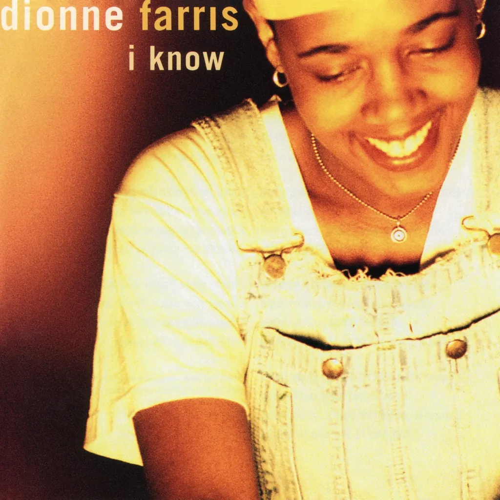 I Know by Dionne Farris cover