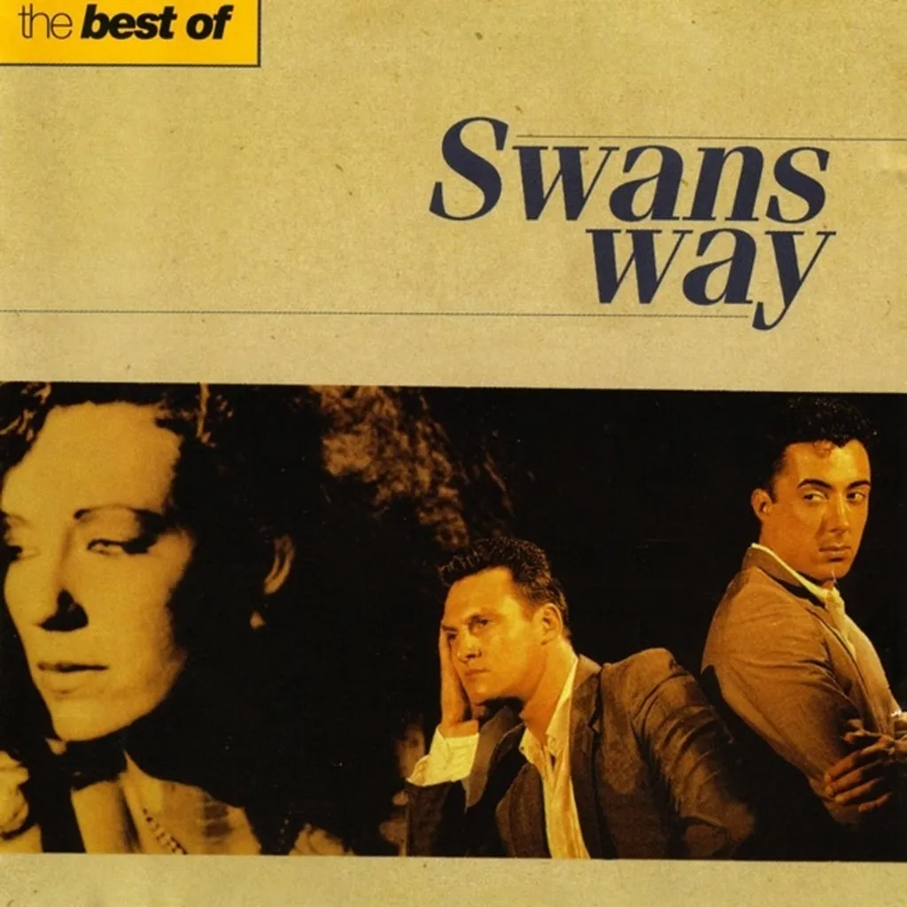 Soul Train by Swans Way cover