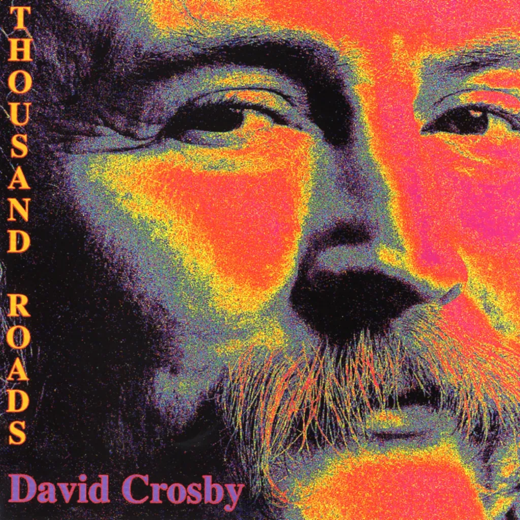 Hero by David Crosby cover