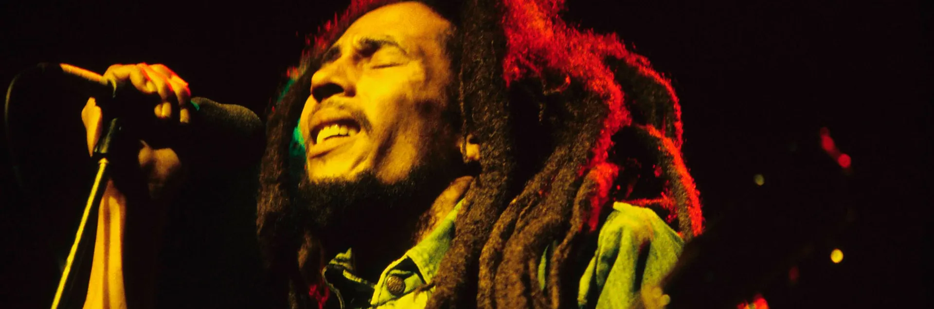 Bob Marley and the Wailers cover